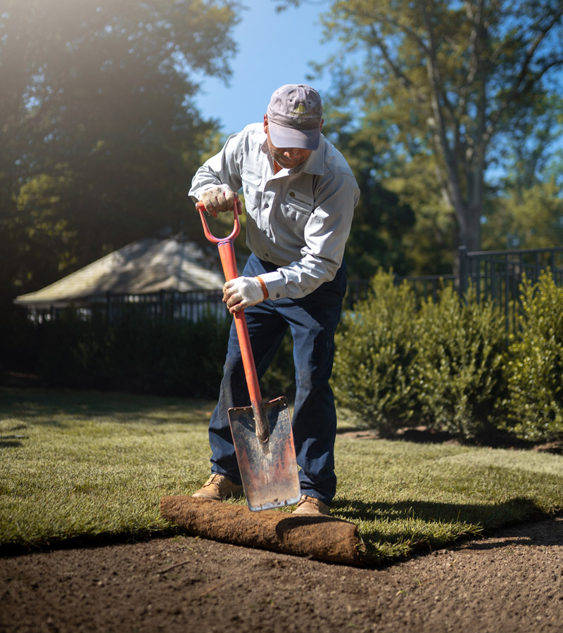 Landscapes service photo