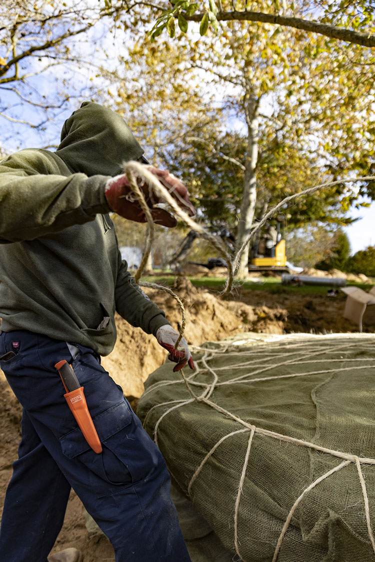 Landscape development in the Hamptons