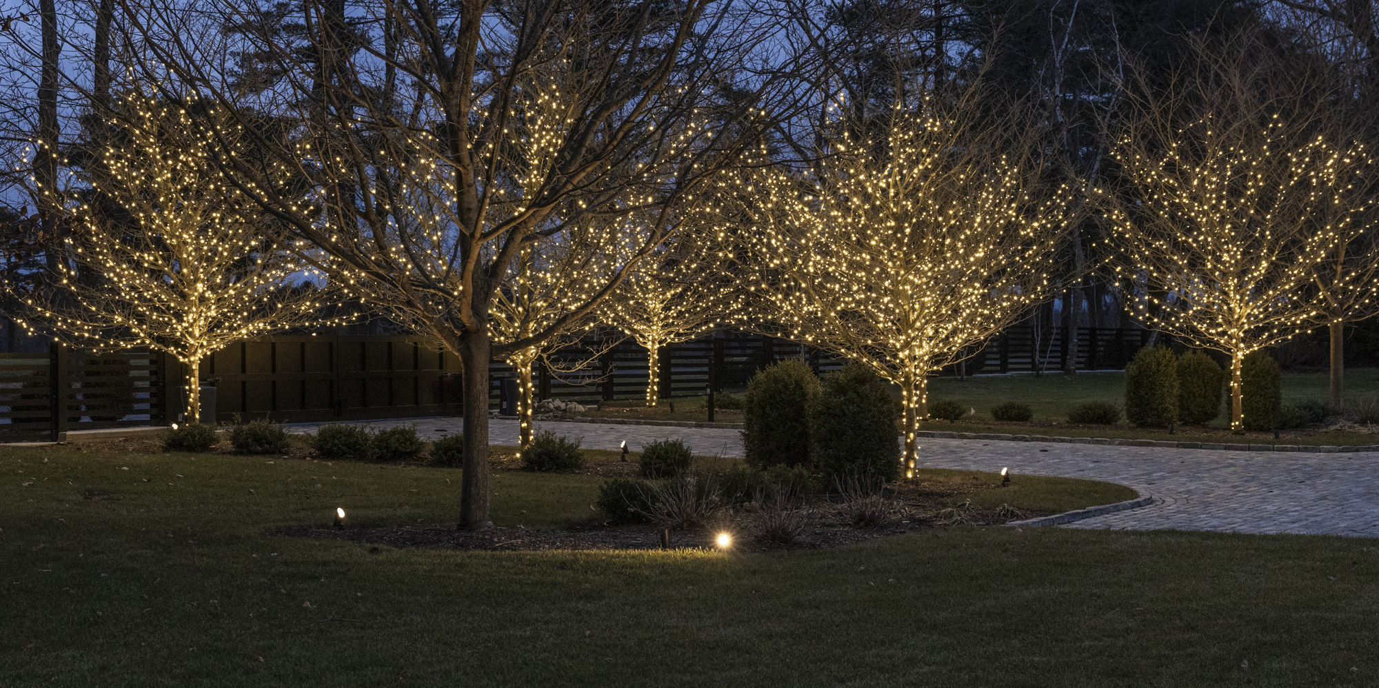 holiday lighting