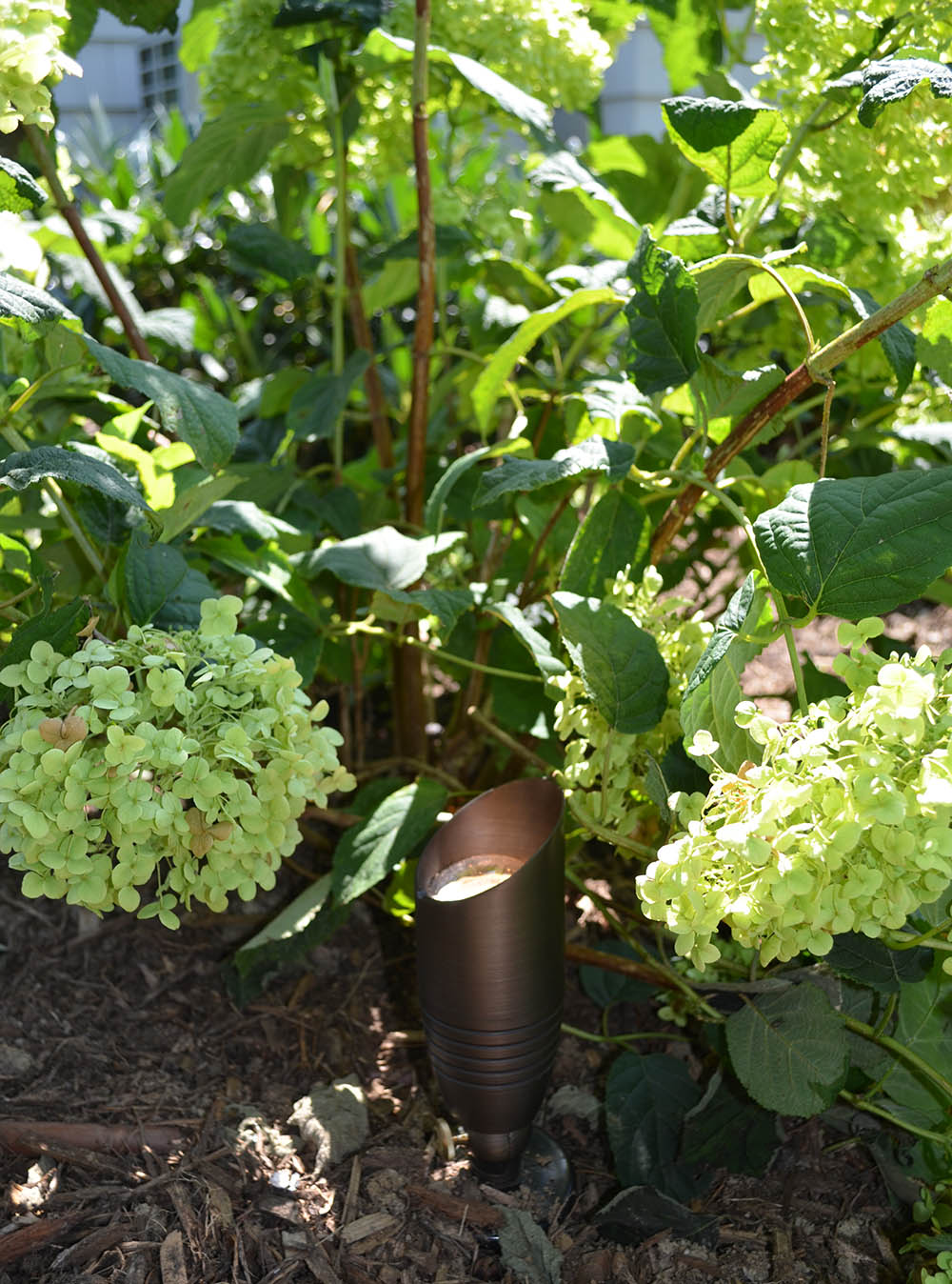 a landscape light under bushes