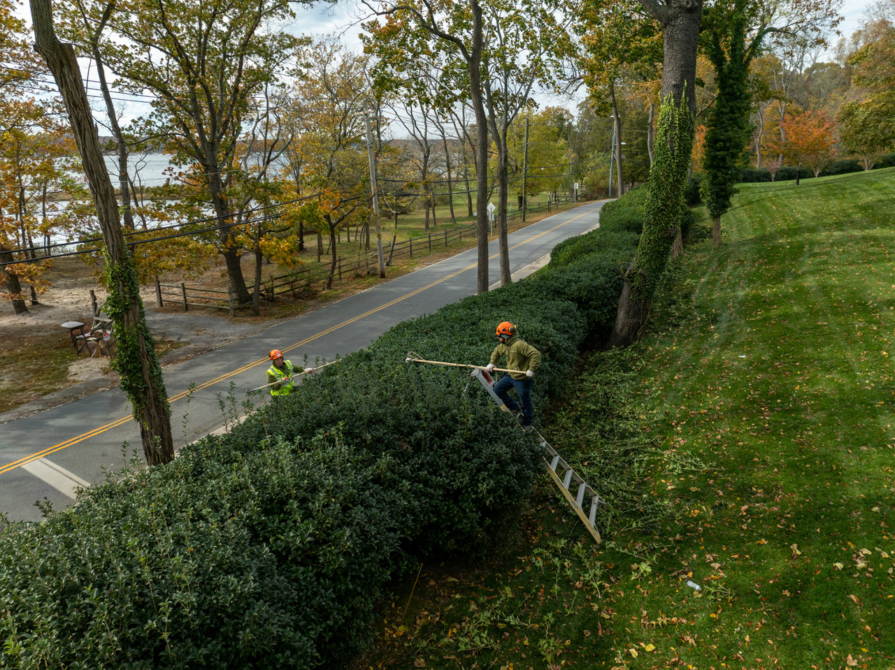 seasonal shrub and tree pruning in the Hamptons