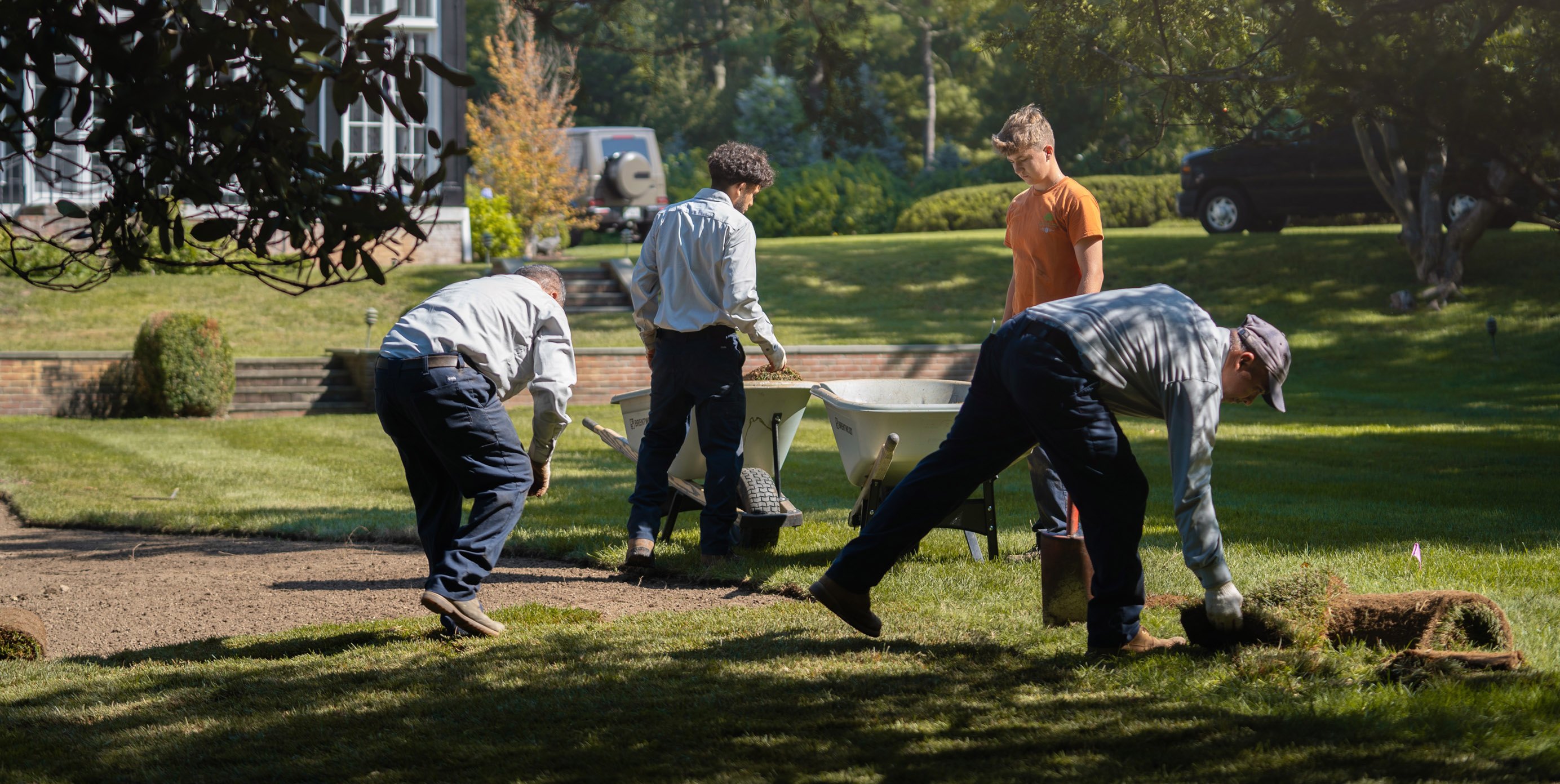 landscape technicians installing sod