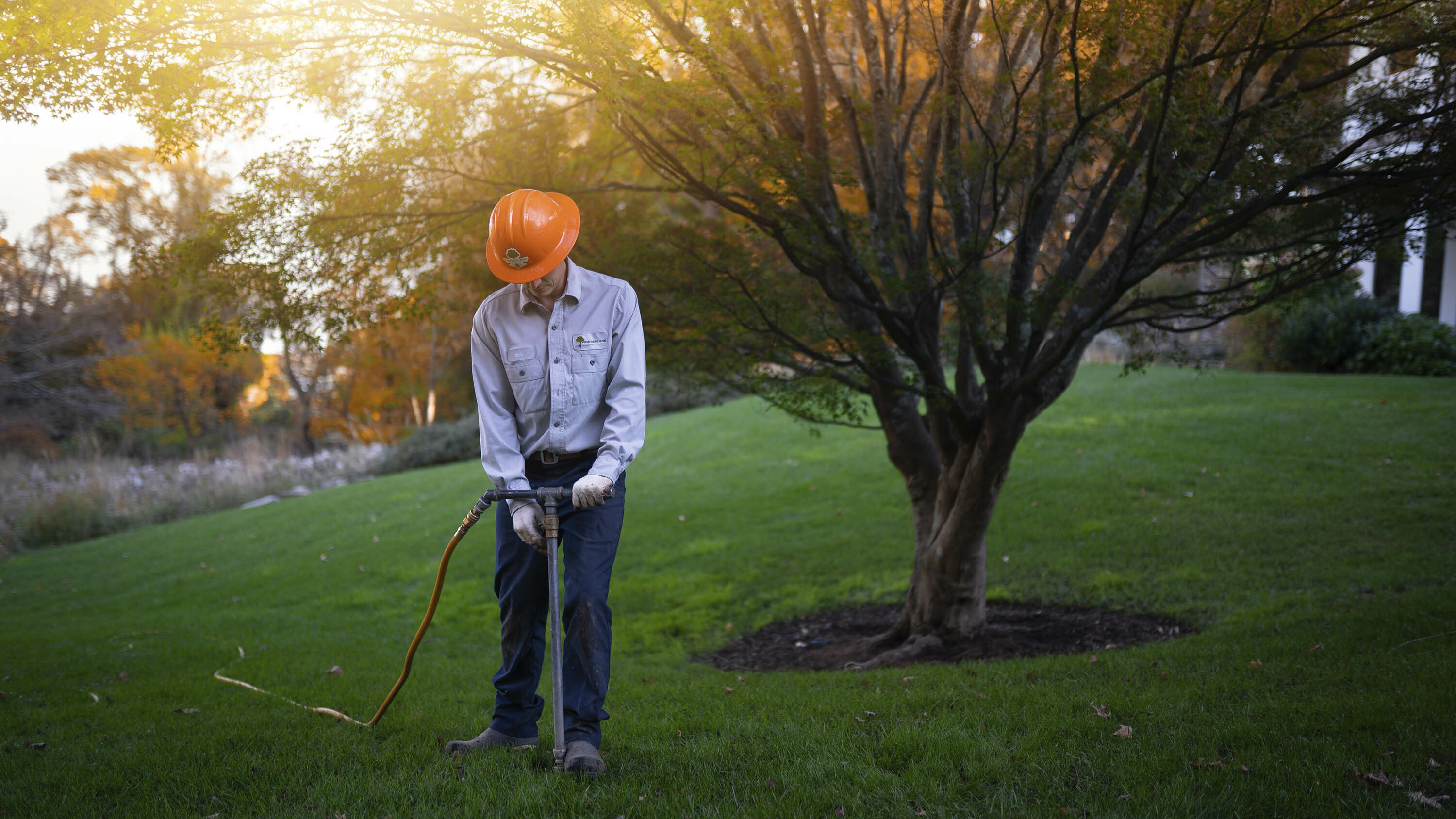 landscaping by Wonderland Tree Care