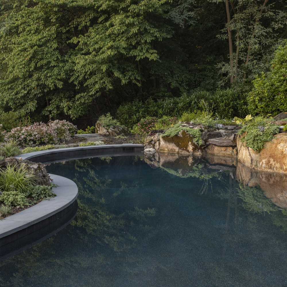 ELEVATED POOL + GARDEN