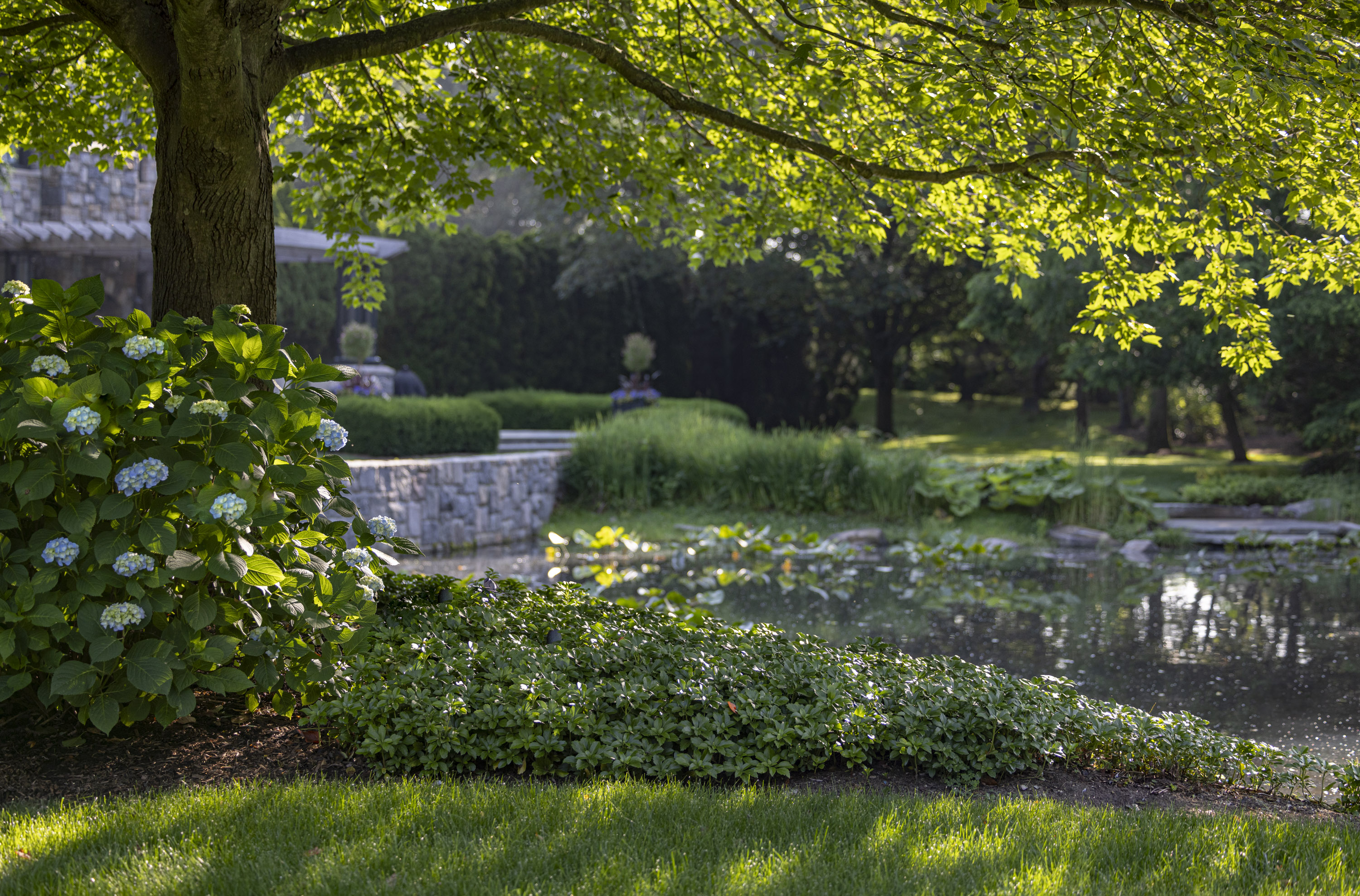 Landscape installation with seasonal color